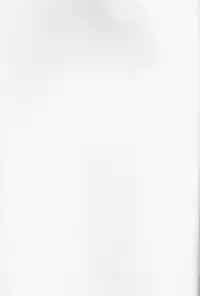 [Bohyadam (Pomeko, Amano Sumi)] Kemomimi! (D.Gray-man)