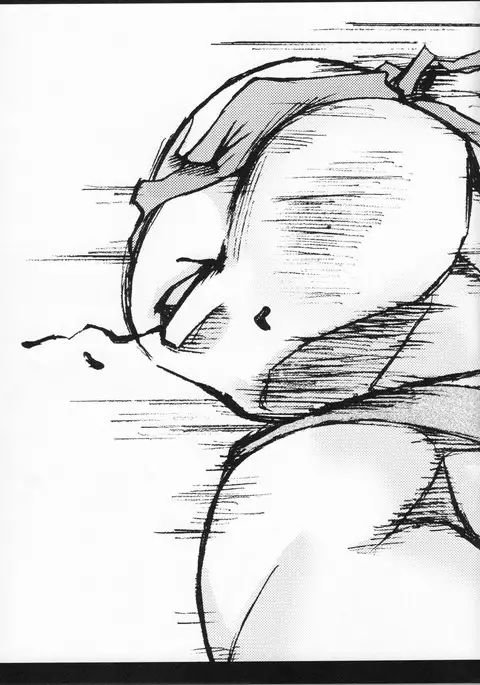 FALLEN - Raph vs Leo - Teenage Mutant Ninja Turtles, TMNT doujinshi