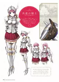 Walkure Romanze Visual Fan Book