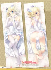 電撃おとなの抱き枕王 Vol.01