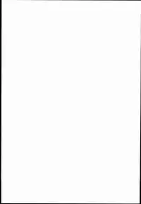 (C85) [Molotov Cocktail (Oowada Tomari)] Rall Rill III (Super Dimensional Legend Rall)