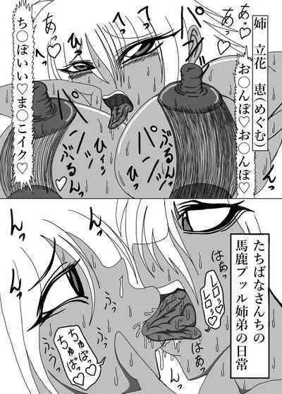 立花さんちのばかっぷる