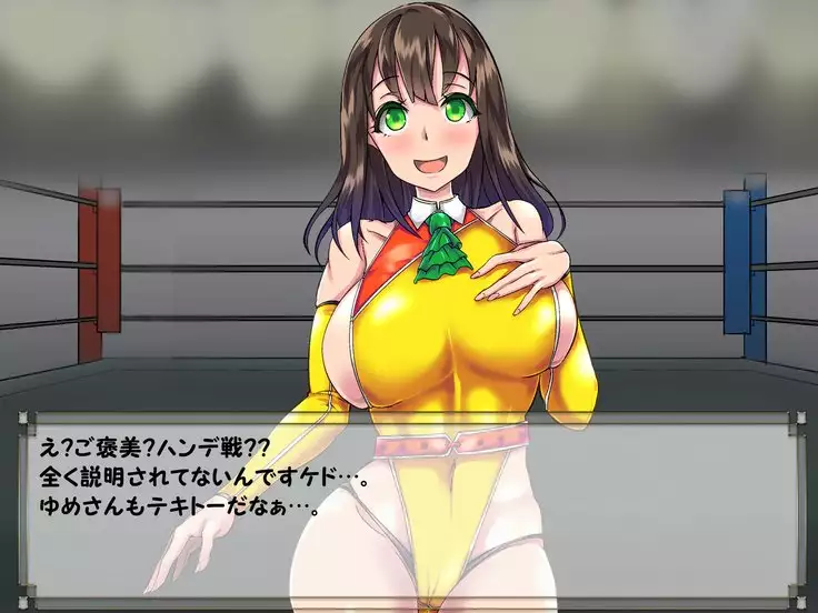 ドMプロレス2 画像集