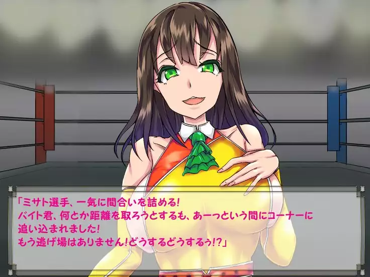 ドMプロレス2 画像集