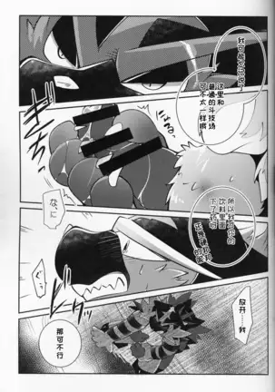 Tougi-ba no Make Neko | 斗技场的败猫