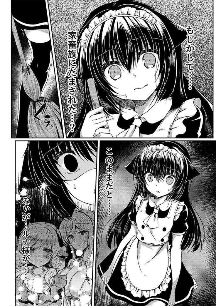 猫姦～成猫編～