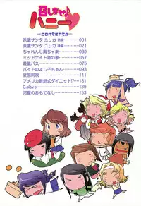 [bee] Meshimase Honey