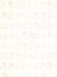 [Group NEKO (WOODY)] MAGIC GALS Select Memory (Various)