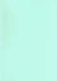 (C91) [Rabbit House (Usako)] Anzen Star Sapphire-chan (Touhou Project) [Chinese] [迷途竹林汉化]