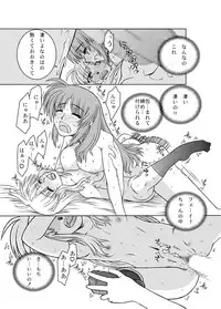 [Fresnel Lens (Hirano Kana)] 19→13 VerF (Mahou Shoujo Lyrical Nanoha) [Digital]