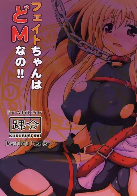 Fate-chan wa Do M nano!!