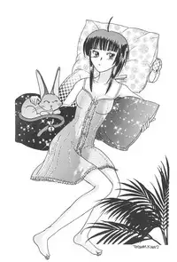 (C60) [CIRCLE FOUNDATION (Fujise Akira)] Plutinum 2 (Love Hina)