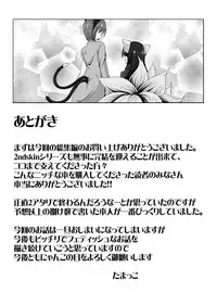 [Nyanko no Me (Tamakko)] 2nd Skin Soushuuhen (Touhou Project) [Chinese] [贝尔西行寺个人汉化] [Digital]