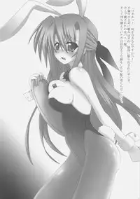 (C74) [SSB (Maririn)] We're Not Gonna Fall (Mahou Shoujo Lyrical Nanoha)