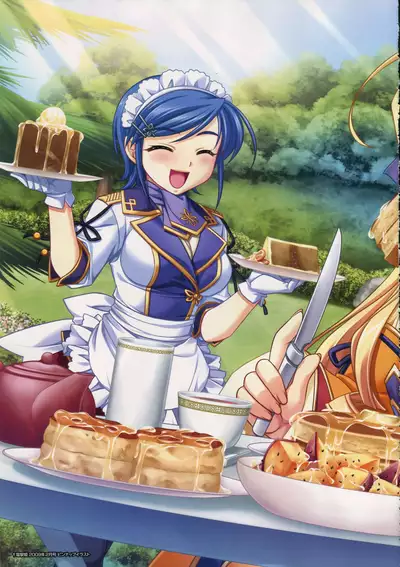 Shin Koihime Musou -Otome Ryouran Sangokushi Engi- Perfect Visual Book