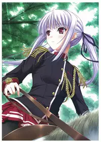 Walkure Romanze Visual Fan Book