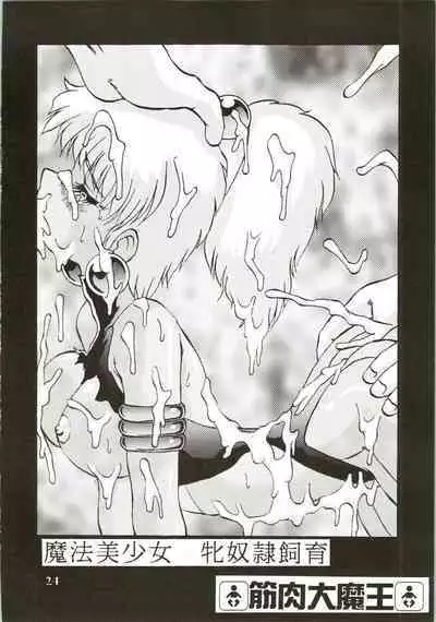 (C47) [Ayashige Dan (Various)] Majokko Knight 2 (Magic Knight Rayearth)