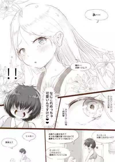 Anraku-san wa Ginpatsu Half Shoujo o Iyashitai