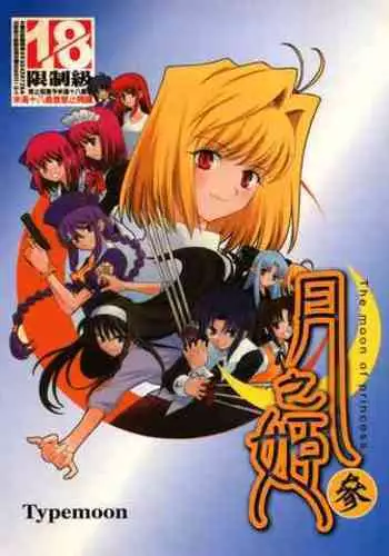 [Typemoon] Tsukihime 3 [Chinese]