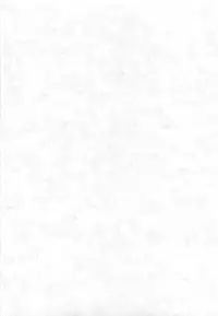 [観月堂] 電撃ラグナ (RO)