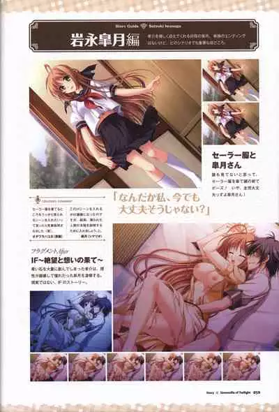 Tasogare no Sinsemilla Official Visual Fan book