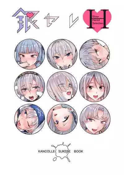 Ginpatsu Selection H | Silver Hair Selection H