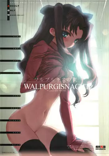 (C67) [Keumaya (Inoue Junichi)] Walpurgisnacht / Walpurgis no Yoru (Fate/stay night)