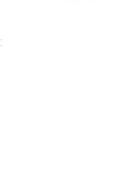 (Puniket 13) [rabbit syndrome (rabbit)] Chotto Otona-muke