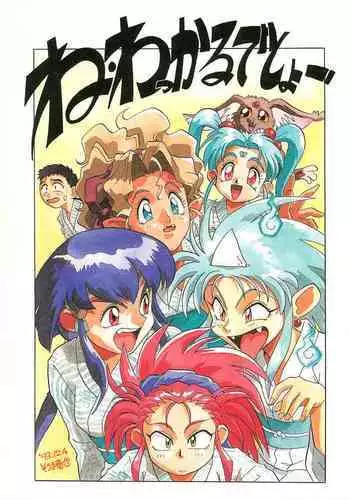 Ne Wakkaru Deshou Vol.2 bis