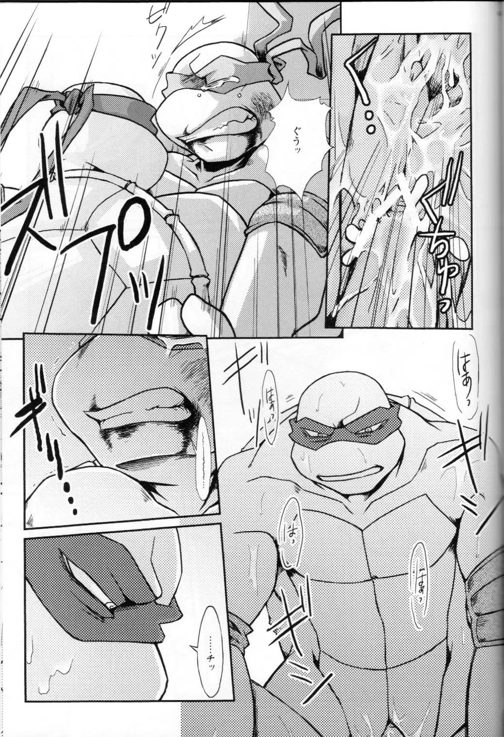 FALLEN - Raph vs Leo - Teenage Mutant Ninja Turtles, TMNT doujinshi