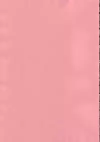 (C69) [Magnolia] DEAD ZONE：04 MISOGYNY (Cross Dress Book)