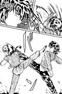 (C36) [Silicon Valley] Man in the Mirror (Ranma 1/2)