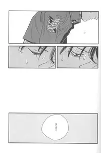 [MICROMACRO and gunblue] sit difficile; experior tamen. (Shingeki no Kyojin)