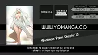 Woodman dyeon Chapter 1-11 (To be continued)
