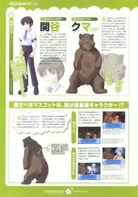 Tsunagaru Bangle - Visual Fan Book