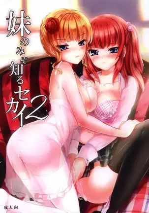 Imouto Nomi zo Shiru Sekai 2 【不可视汉化】