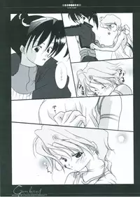 [Luna Plan] Gene Instinct (Breath of Fire)