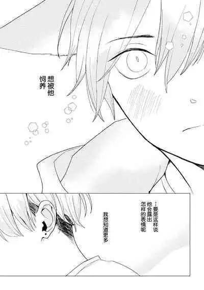 恋爱中的猫咪想被抚摸