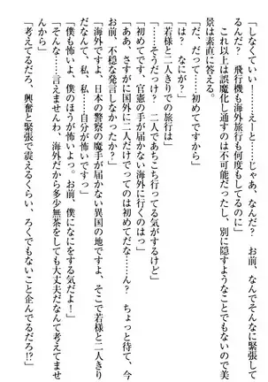 年上メイドの新婚日記