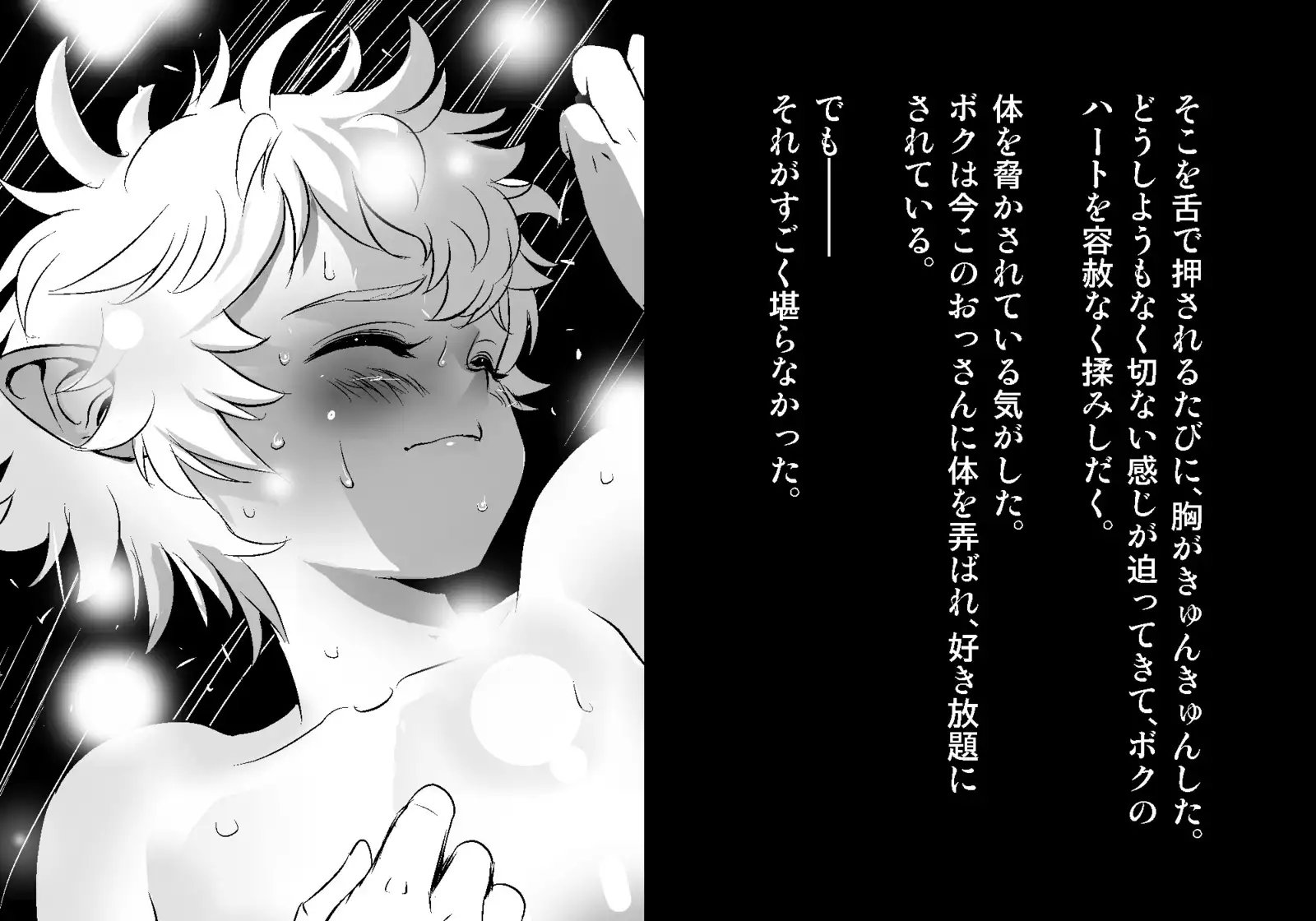 フェアリーセティ