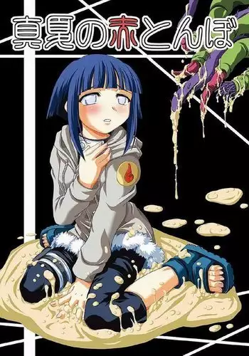 Red dragonfly at midsummer