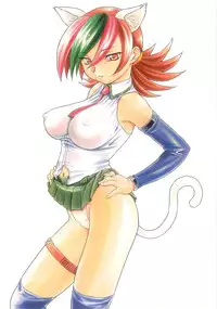 (C62) [Studio Wallaby (Nishitsuki Tsutomu)] Nishitsuki Recycle (Various)