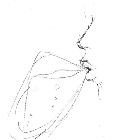 Maa toriaezu Oppai demo