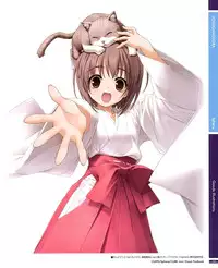 C82 CUFFS/Sphere/CUBE mini Visual Fan Book