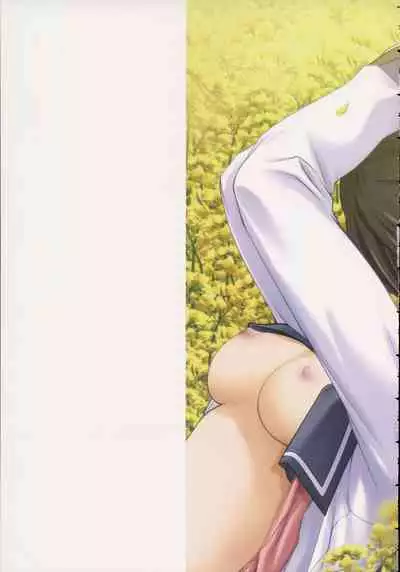 Shin Ringetsu Visual Fanbook