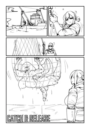 캐치 앤 릴리즈