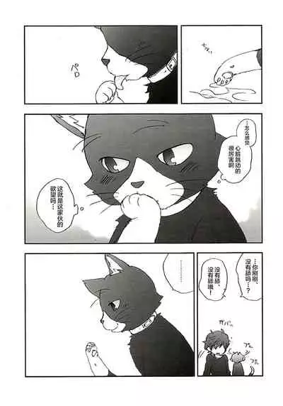 Tokubetsu Kyuukou Mementos