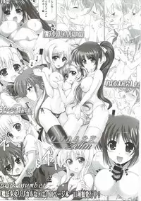 (C90) [Harumankai (Various)] Lyrical Shoujo Elf (Mahou Shoujo Lyrical Nanoha)