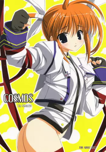 (C71) [Lili Marleen (Kinohara Hikaru)] COSMOS (Mahou Shoujo Lyrical Nanoha)