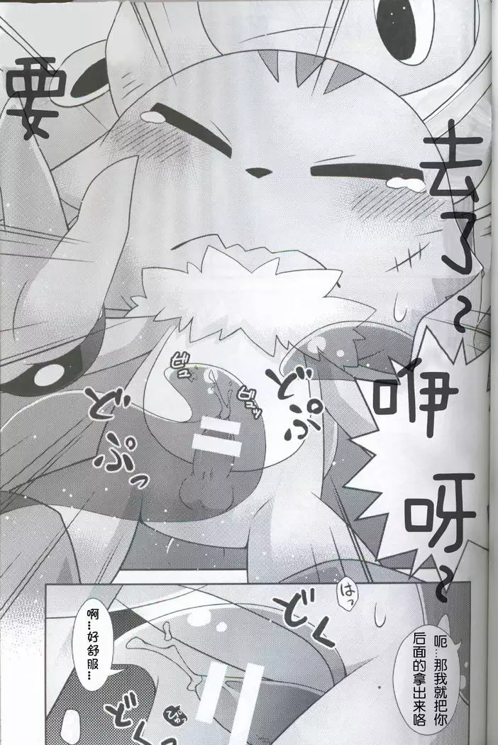 Kakukatariki | 卡库塔利奇